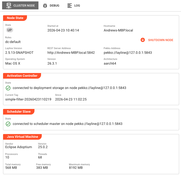 Cluster Node tab showing Node State, Activation Controller, Scheduler Slave, and Java Virtual Machine panels