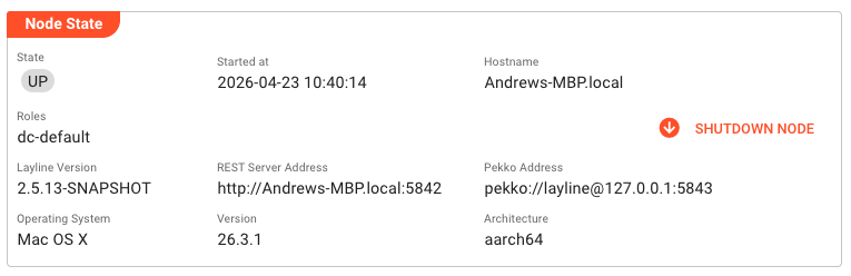 Node State panel showing operational status, hostname, version, addresses, and system information